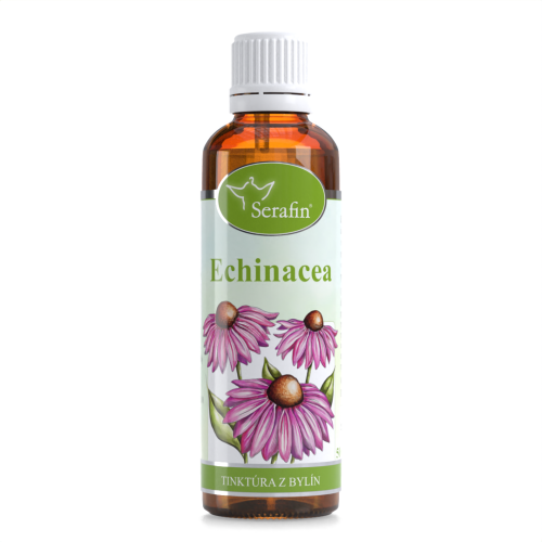 Echinacea - tinktúra z bylín