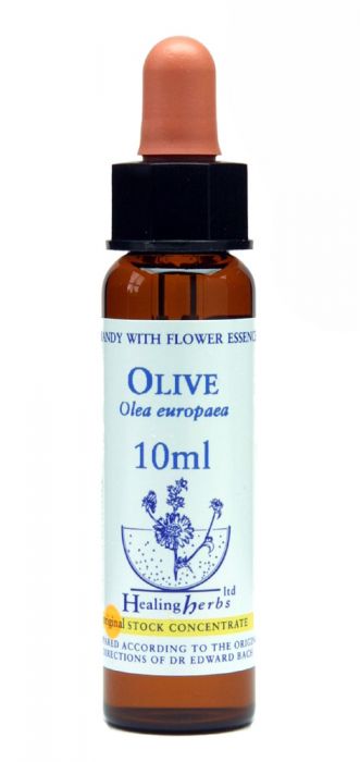 Olive - Oliva európska (Bachove kvapky)