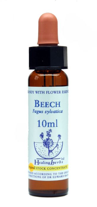 Beech - Buk lesný (Bachove kvapky)