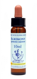 Agrimony - Repík lekársky (Bachove kvapky)