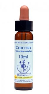 Chicory - Čakanka obyčajná (Bachove kvapky)