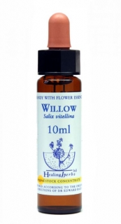 Willow - Vŕba biela (Bachove kvapky)